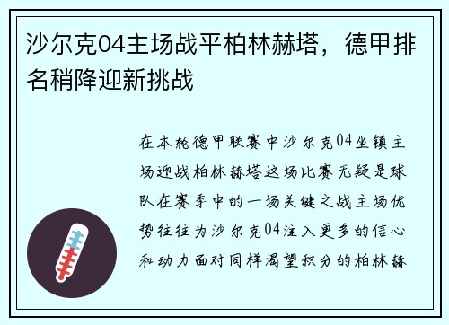 沙尔克04主场战平柏林赫塔，德甲排名稍降迎新挑战